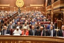 الجبهة الوطنية، القائمة الوطنية، انتخابات مجلس الشيوخ، الدعاية الانتخابية،  سليمان وهدان، المرشحون، غرفة العمليات، الخطاب الانتخابي، التوافق السياسي.