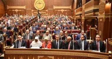 الجبهة الوطنية، القائمة الوطنية، انتخابات مجلس الشيوخ، الدعاية الانتخابية،  سليمان وهدان، المرشحون، غرفة العمليات، الخطاب الانتخابي، التوافق السياسي.