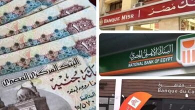 تفاصيل العائد على الـ100 ألف جنيه شهريًا