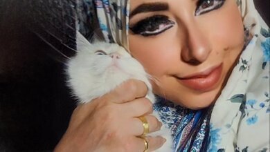 أمل إبراهيم ملكة القطط