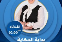 الإعلامية نسرين محي الدين
