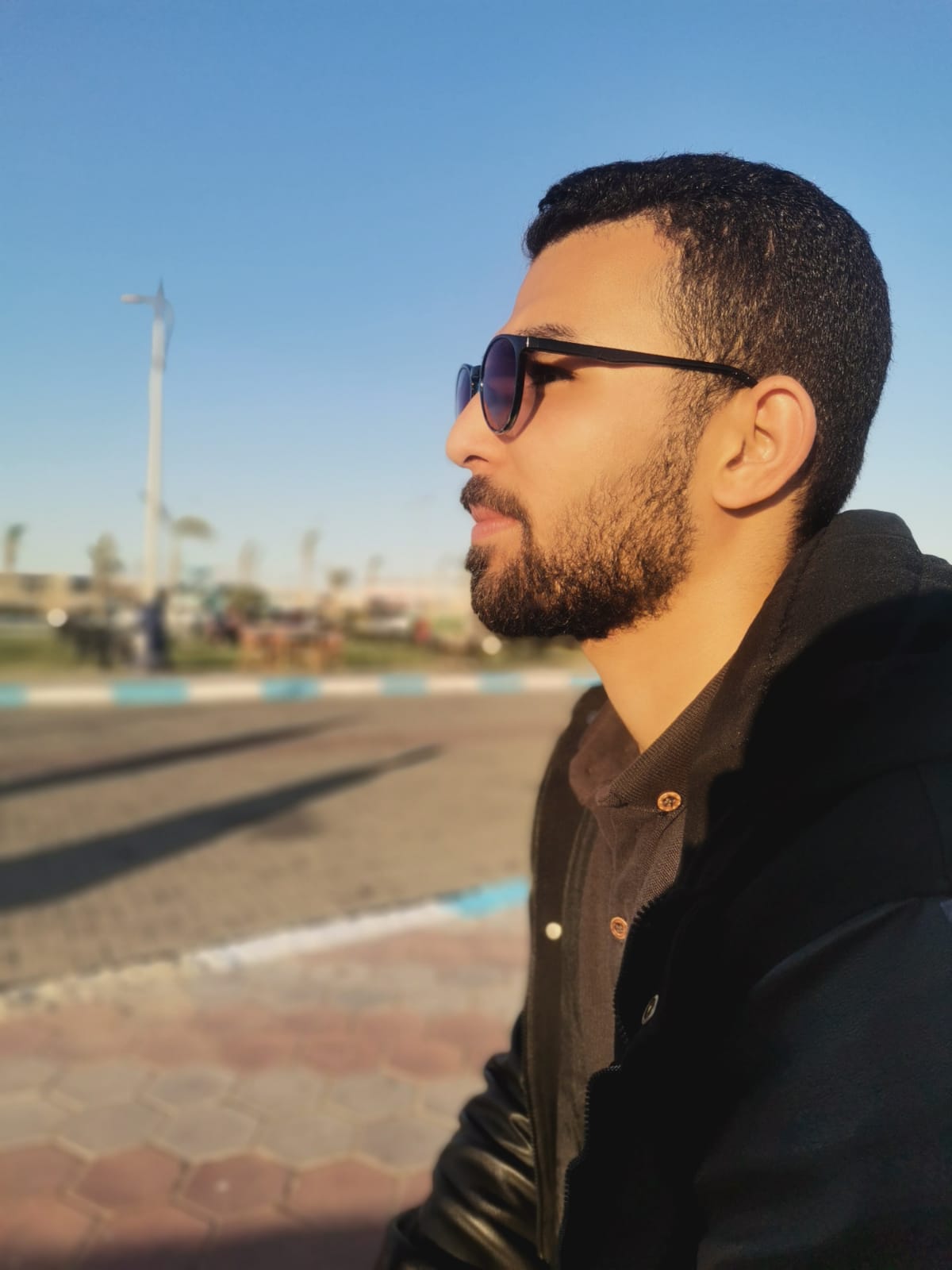 الدكتور محمد محمود شعبان