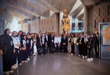 نورهان هانئ عبد العزيز