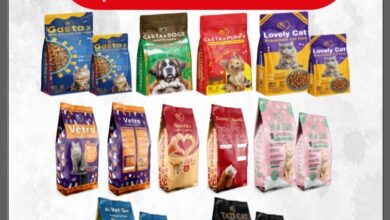 شركة جولدن فود للاعلاف