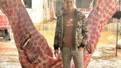  مايكل ايمن مكرم الجزار