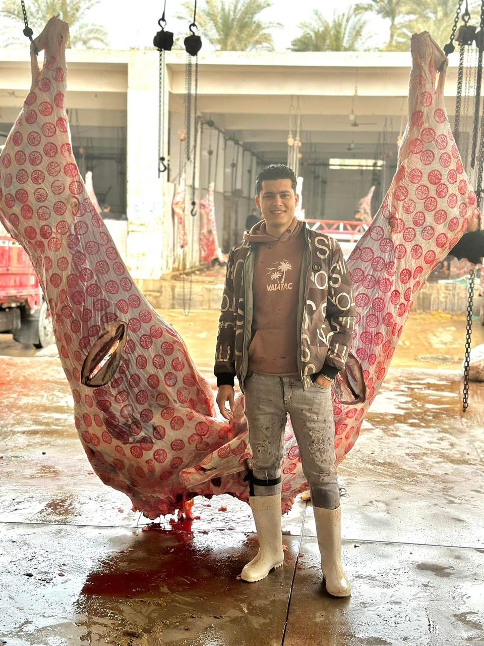  مايكل ايمن مكرم الجزار