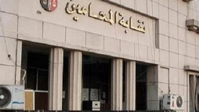 انتخابات النقابات الفرعية للمحامين