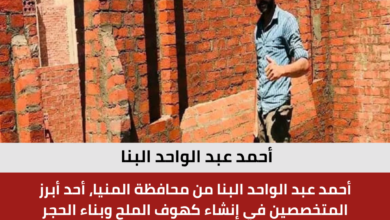 أحمد عبد الواحد البنا