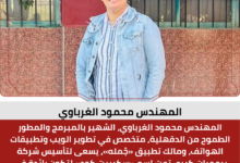 المهندس محمود الغرباوي