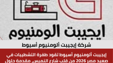 إيجيبت ألومنيوم أسيوط