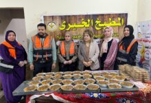 النائبة هناء أنيس