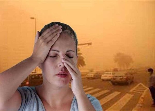 الجيوب الأنفية 