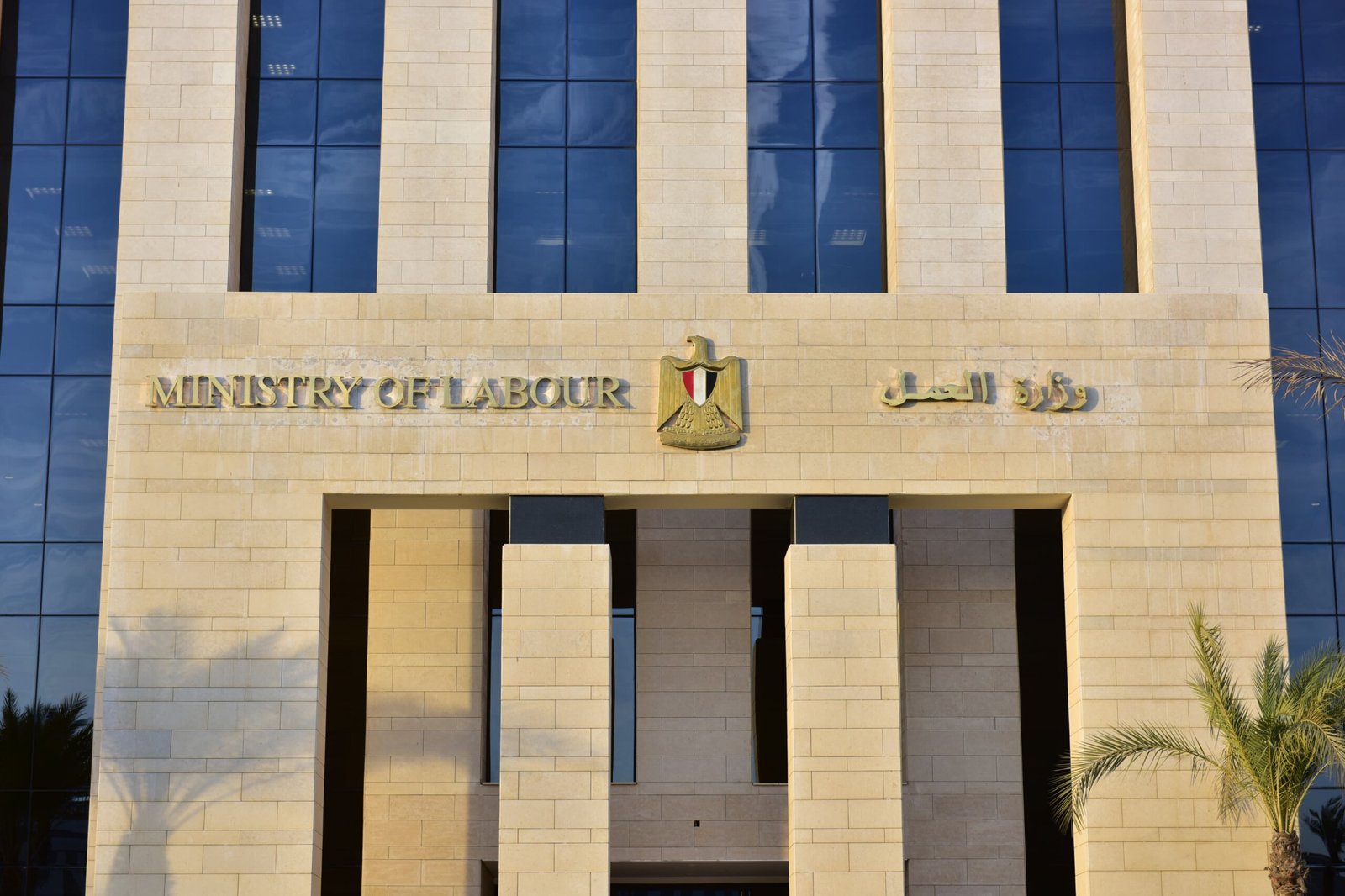 فرص عمل جديدة