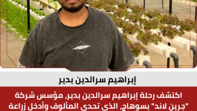 إبراهيم سرالدين بدير