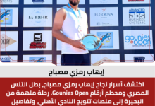 إيهاب رمزي مصباح
