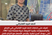 احمد فريد الفخراني