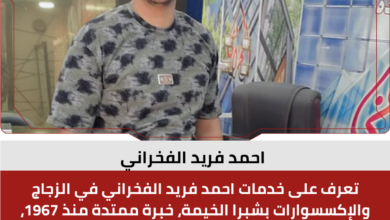 احمد فريد الفخراني