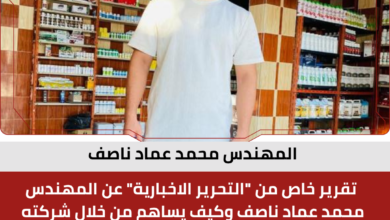 المهندس محمد عماد ناصف