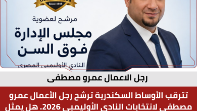 رجل الاعمال عمرو مصطفى