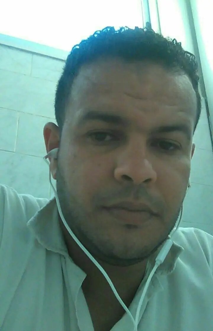 المهندس محمد السيد الطيار