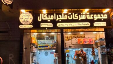 مجموعة شركات ملجراميكال