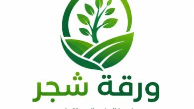 منصة ورقة شجر الرقمية لربط المزارعين بالتجار والمصانع والمستهلكين في سوق الفواكه والخضروات.