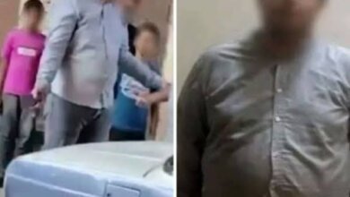 تنسيق جامعة دمنهور