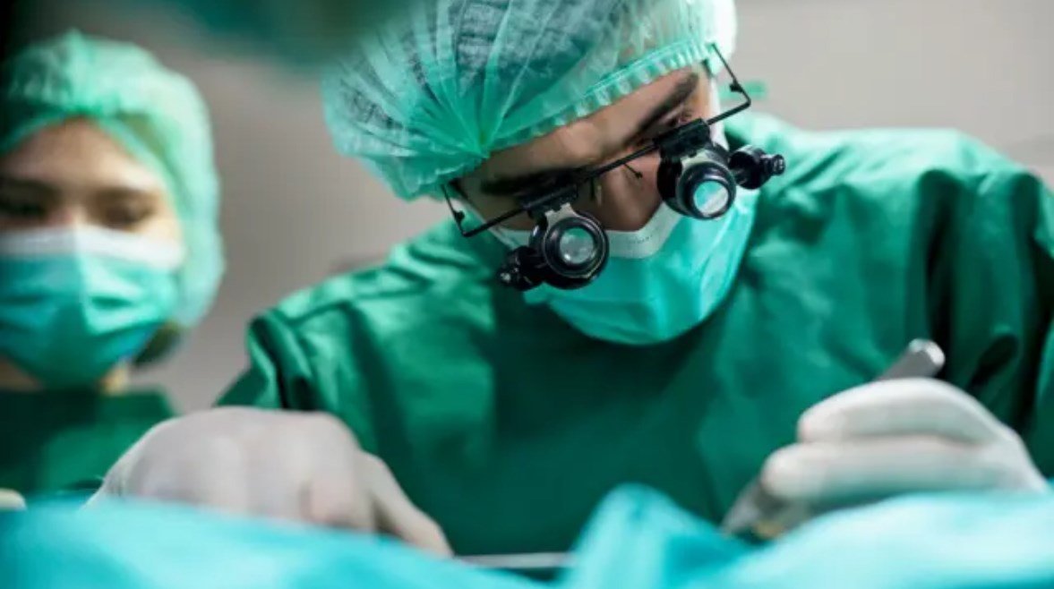 الشيوخ يفتح ملف التبرع بالأنسجة الشيوخ يفتح ملف التبرع بالأنسجة