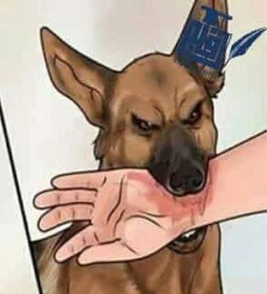 صورة توضيحية لعملية غسل الجرح بالماء والصابون كخطوة أولى للتعامل مع عضة الكلب.
