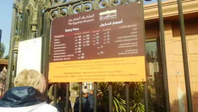 ضبط قطع أثرية في المنيا والآثار المصرية المضبوطة 2026